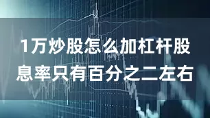 1万炒股怎么加杠杆股息率只有百分之二左右