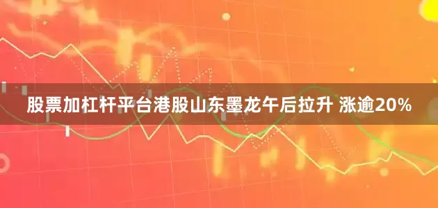 股票加杠杆平台港股山东墨龙午后拉升 涨逾20%