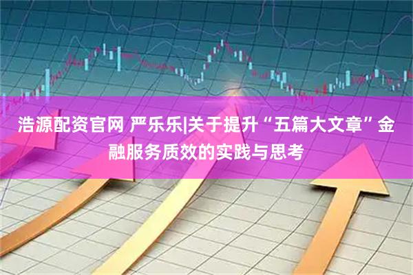 浩源配资官网 严乐乐|关于提升“五篇大文章”金融服务质效的实践与思考